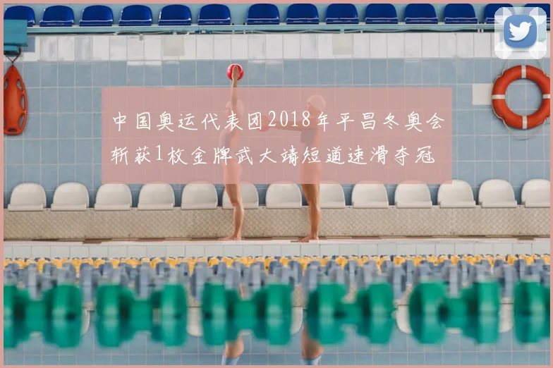 中国奥运代表团2018年平昌冬奥会斩获1枚金牌武大靖短道速滑夺冠